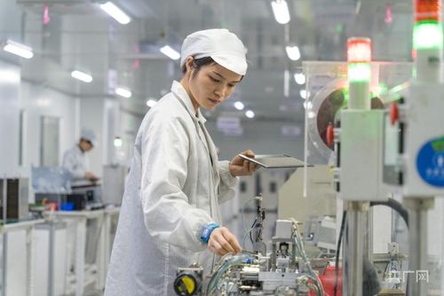 永州市冷水滩区奋力开好局，冲刺开门红——央广网聚焦社会经济信息咨询服务